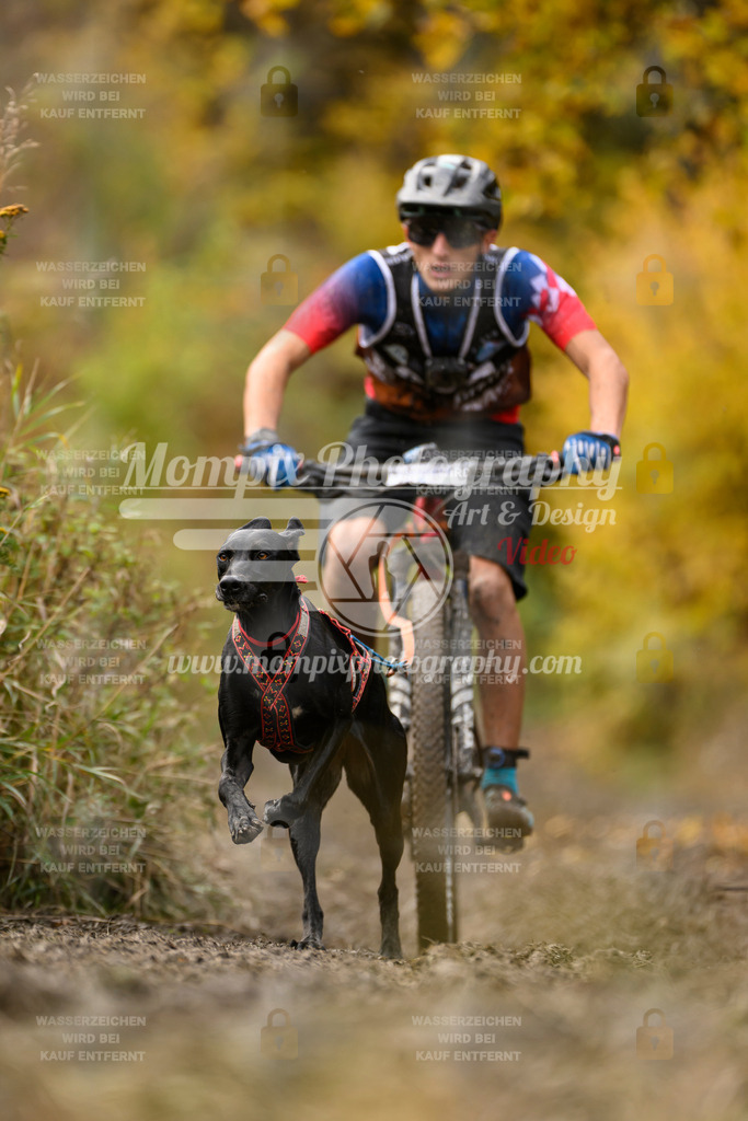 MompixPhotography_ICF_WC_2024_SA_Bike_-376 | PayLife
