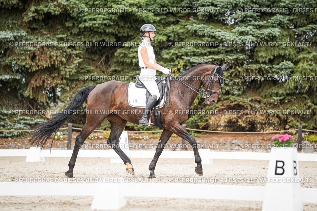 DSC06669 | Pferdegrafie