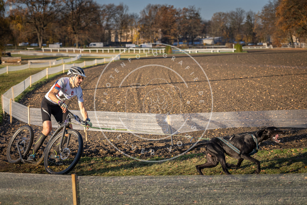 CaniXpix_DV3A0764 | Hundefotografie, Tierfotograf, Pfotenfotografie, Fotoshooting Hund, Hunde Portrait, Hundesport, Hundeportraits, Heideshooting, Hunde, Sportfotograf, Hundefotograf, Turnierhundsport, THS,  - Realisiert mit Pictrs.com