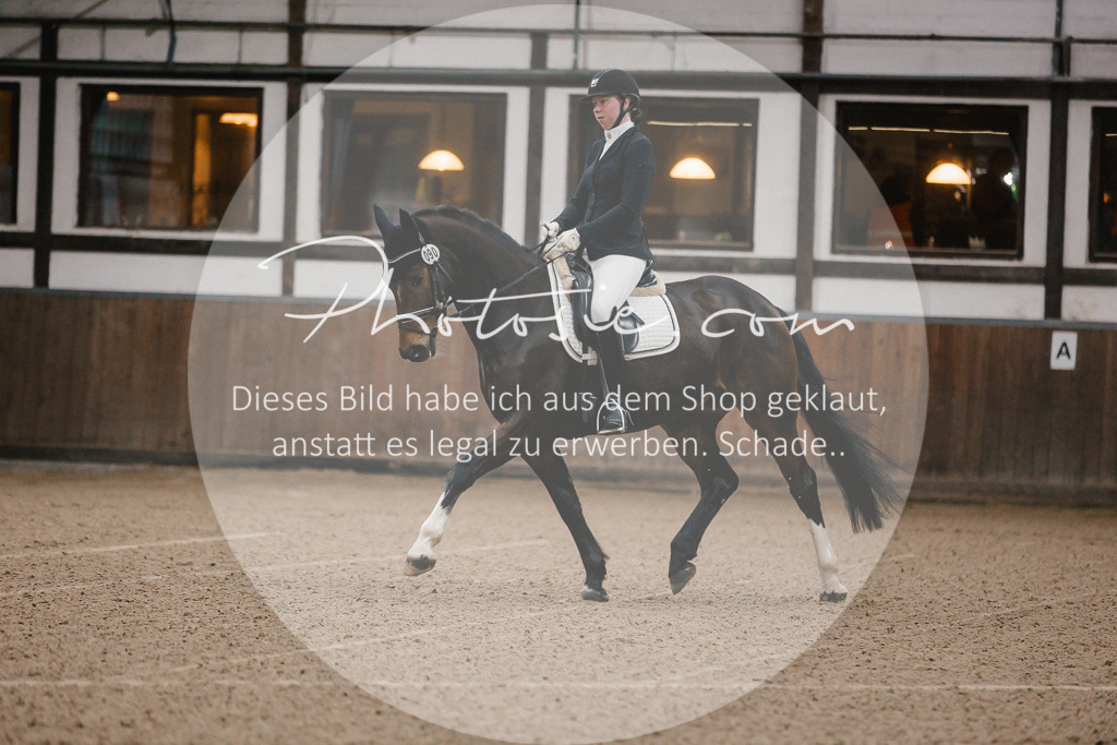 3I6A5789 | Stimmungsvolle Portraits und Reitsportfotografie im Ruhrgebiet und im Münsterland.

Pferdefotografie, Hundefotografie, Tierfotografie, Reportagen, Portraits von Tier und Mensch, Turnierfotografie in Bochum, Recklinghausen, Marl, Haltern am See, Dülmen.. - Realisiert mit Pictrs.com