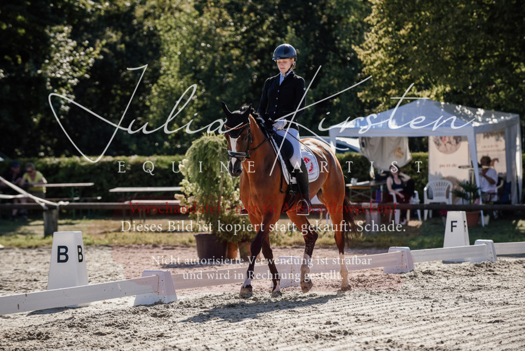 DSC_0337 | Pferde- und Turnierfotografie in Westsachsen. Pferdeportraits, Auftragszeichnungen und intuitive Kunst.