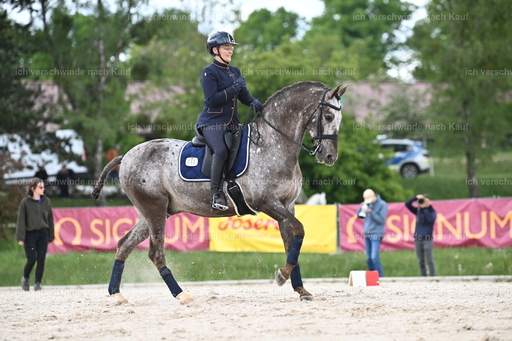 PI26_ST_Sara_Landvogt226_3240.JPG | working equitationturnier fotograf videograf stoibphotography marixx film working equitation deutschland reitsport turnierfotografie eventfotografie equestrian events