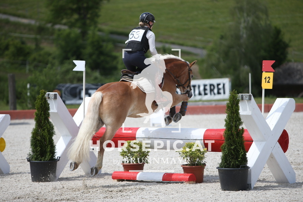 PP014719 | Willkommen bei Brunnmayr - Design & Fotografie – Ihrem Spezialisten für Reitturniere und Pferdeveranstaltungen in Oberösterreich, Salzburg und Bayern! Seit über 17 Jahren sind wir leidenschaftlich dabei.