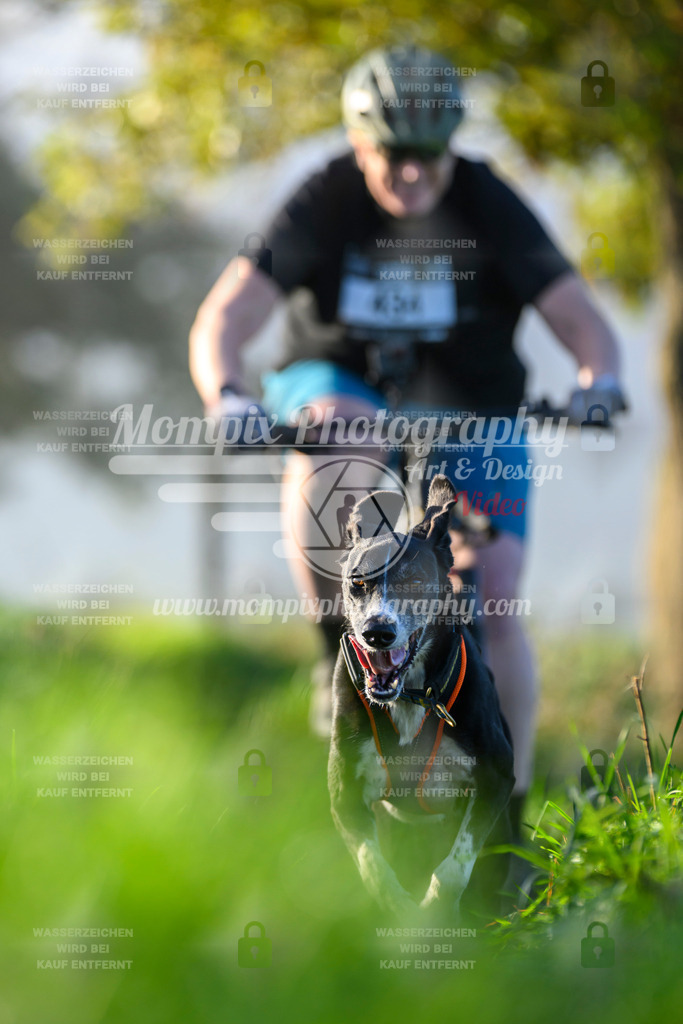 MompixPhotography_20TSB_E3_Bike-212 | PayLife