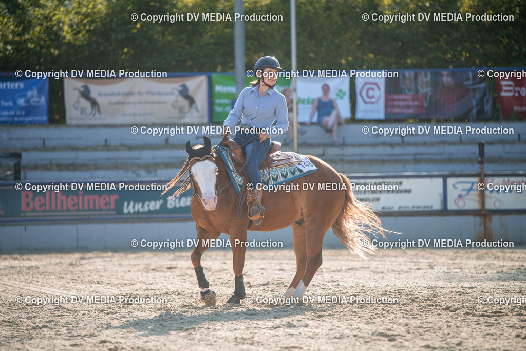 EWP_7117 | dv-media-shop - Realisiert mit Pictrs.com