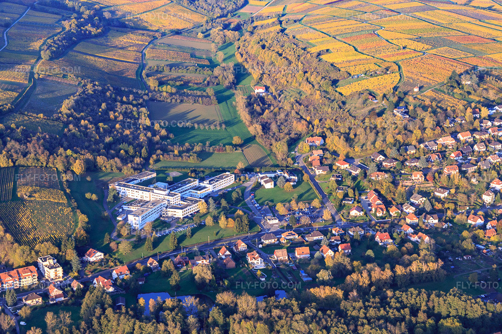 Aerial view: Center HospitalierIntercommunal de la Lauter - Wissembourg in Wissembourg in the state Bas-Rhin, France.Photo: IMG_104422.jpg taken on 10/31/2017 by Werner Riehm/FLY-FOTO.comResolution of the original: 5167 x 3445 pxCentre Hospitalier - Wissembourg