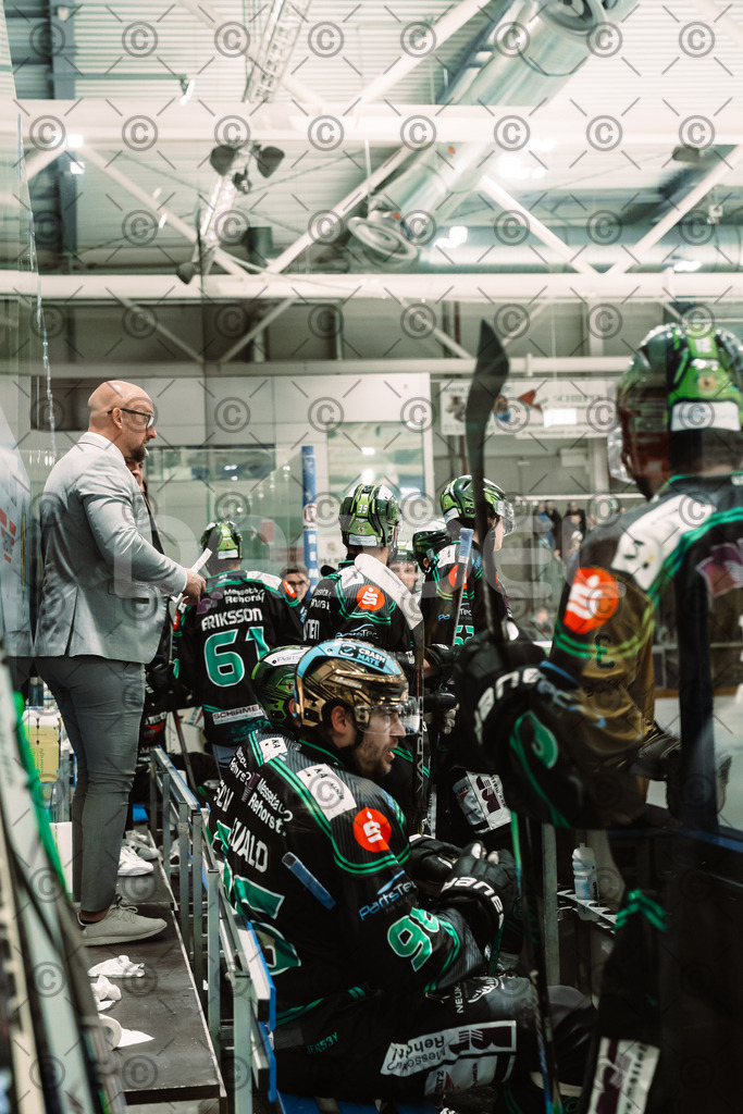 Alligators_vs_Bayreuth_10_2025-64 | Höchstadt Alligators Fotogalerie: Eishockey-Action aus Franken. Professionelle Spielfotos, Portraits & Stadionbilder zum Download. Jetzt entdecken! - Realisiert mit Pictrs.com
