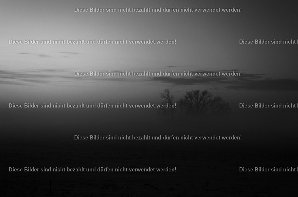 1-06-1025-679 | fahed-fattah-fotografie - Realisiert mit Pictrs.com