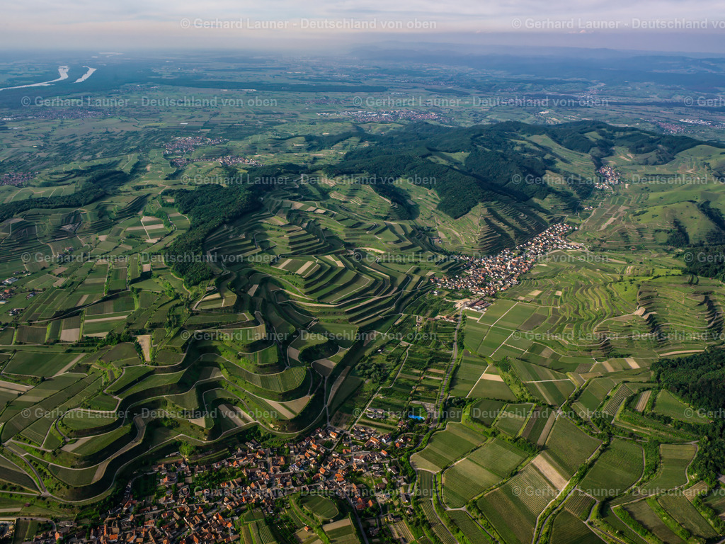 2597019 | Vogtsburg und Oberbergen im Kaiserstuhl