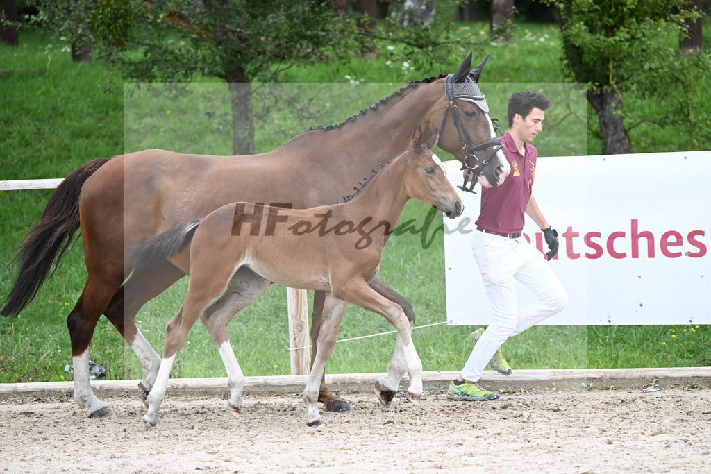 Kat-Nr. 30 SF Fidertanz_Joner_25230676 | hf-fotografie - Realisiert mit Pictrs.com