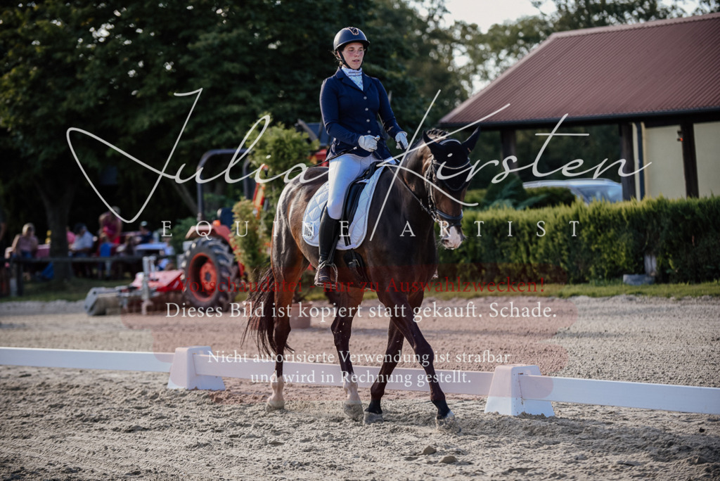 DSC_0633 | Pferde- und Turnierfotografie in Westsachsen. Pferdeportraits, Auftragszeichnungen und intuitive Kunst.