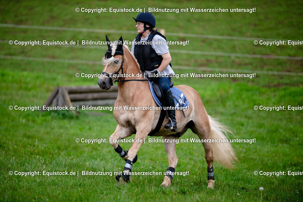 20250725_Vielseitigkeitslehrgang-Marbach_0531 | Foto: Thomas Hartig