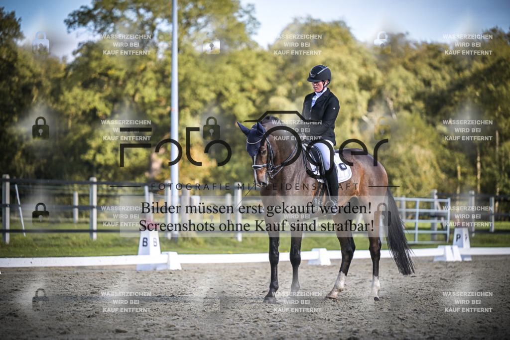 DOS_4850 | Entdecke hochwertige Reitturnierfotos von Foto Oger. Professionell, emotional und authentisch – jetzt Lieblingsmomente im Shop bestellen.Deutschlandweite Turnierfotografie. - Realisiert mit Pictrs.com