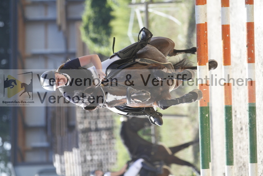_MG_8479 | equestrian-live-com