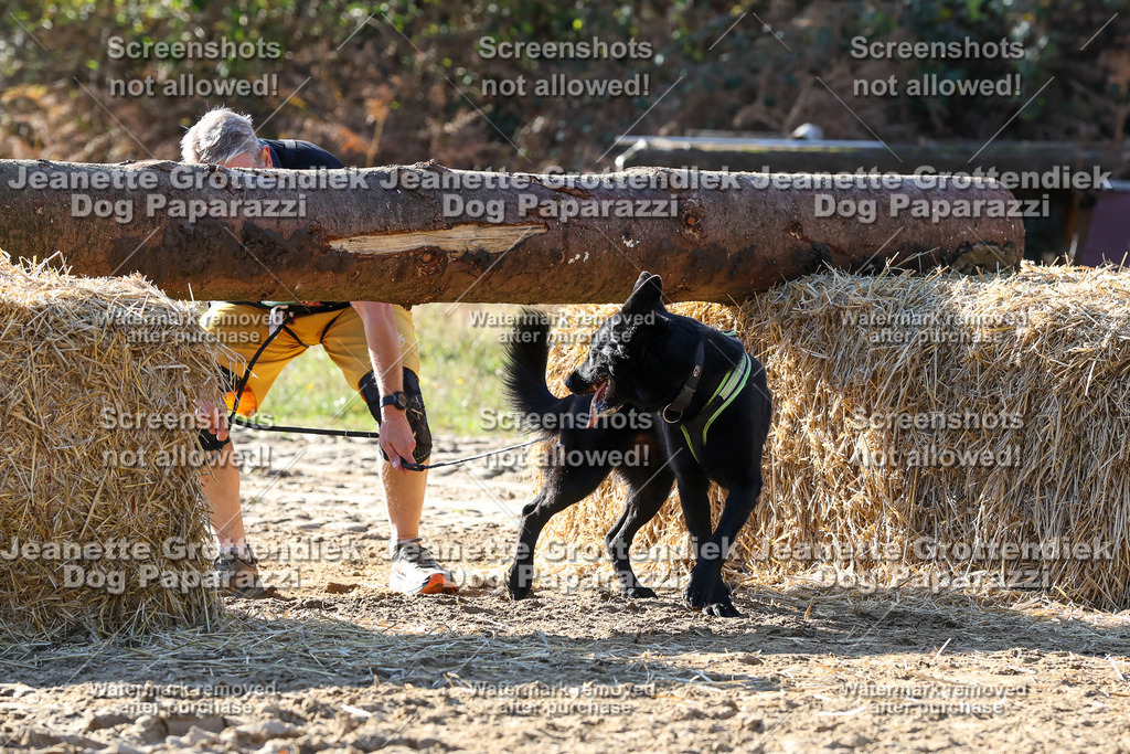 Dog Paparazzi - Strongdog 10-25-6028 | Dog Paparazzi Jeanette Grottendiek Fotografie & Videografie - Realisiert mit Pictrs.com