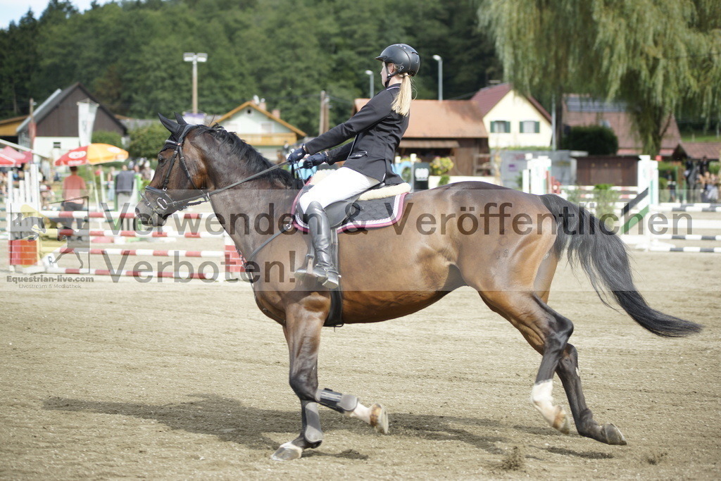 _DSC4367 | equestrian-live-com