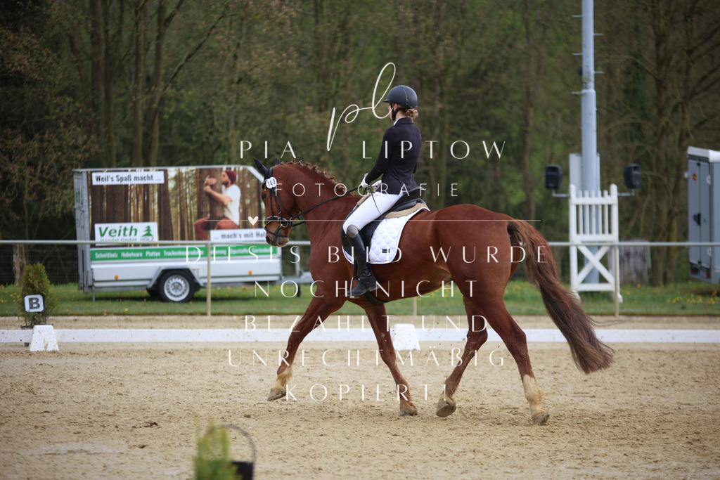 IMGT7301 | pl-fotografie