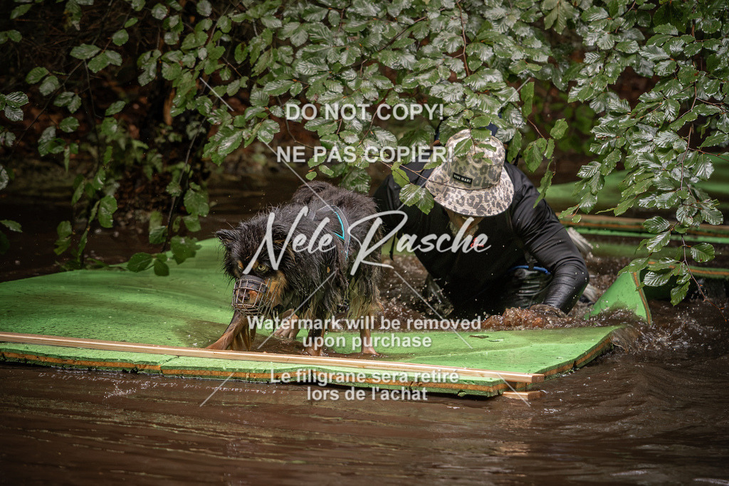 nelerasche_Wingst_Sa1330-1400_95 | nelerasche