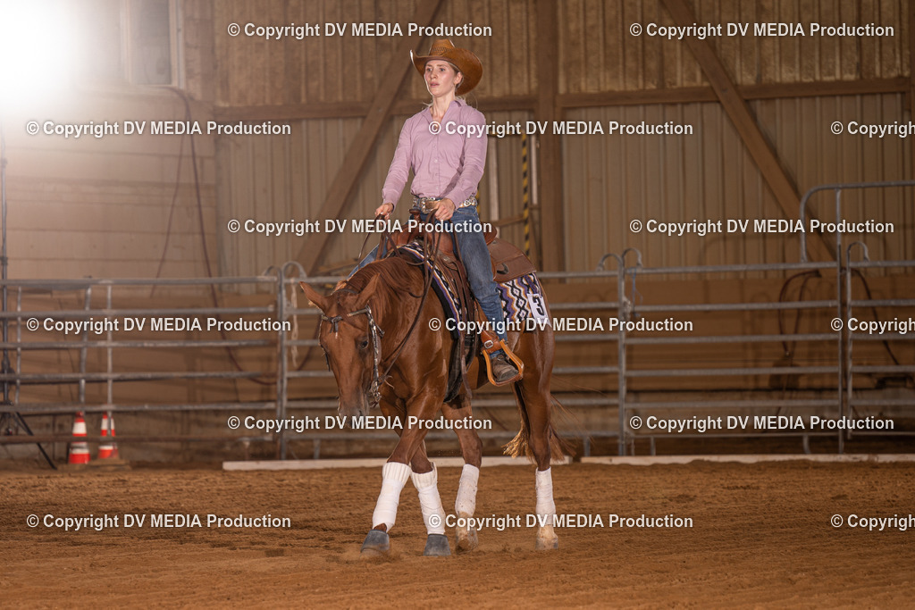 NID00993 | dv-media-shop - Realisiert mit Pictrs.com