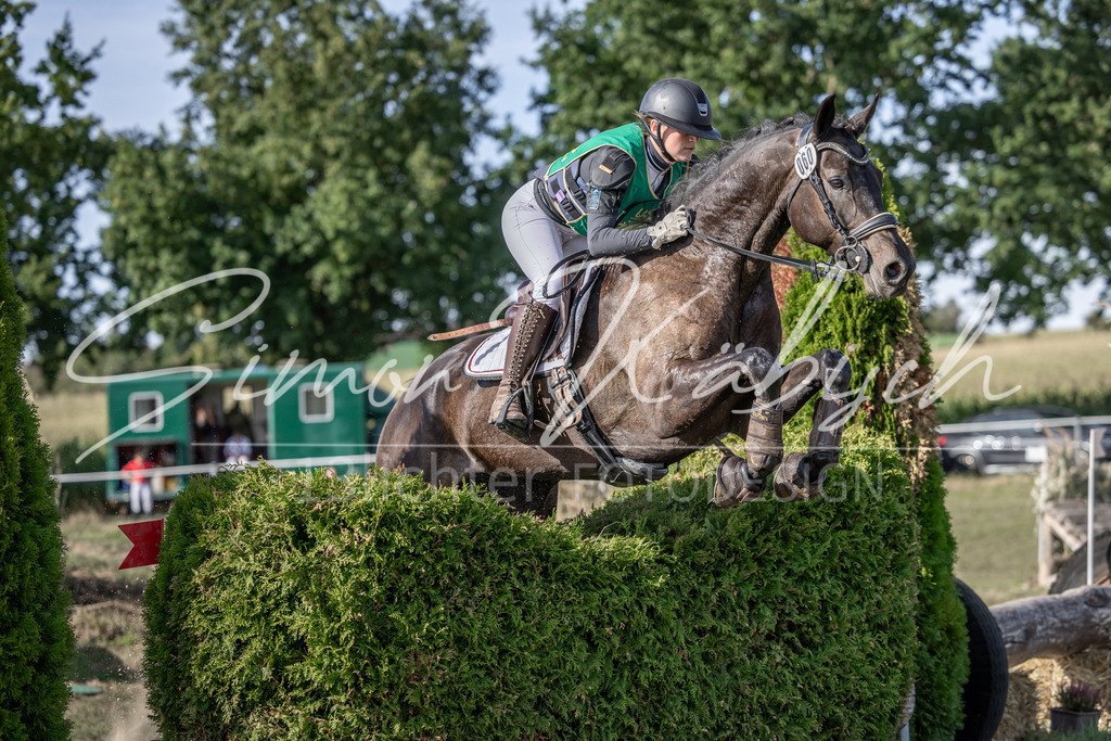 20250907-_3LI3273 | Tierfotografie Pferde, Hunde, Katzen, Haustiere.
Turnierfotografie Reitturniere, Reiten, Springreiten, Dressur in Hanau, dem Main-Kinzig-Kreis und dem Rhein-Main- Gebiet um Frankfurt