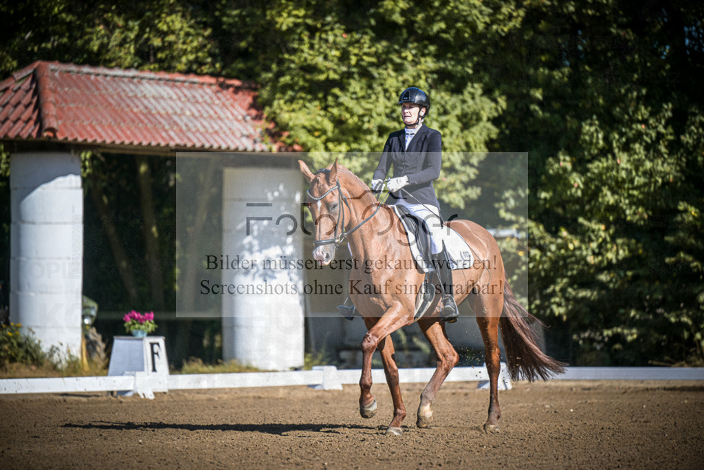 DOS_2097 | Entdecke hochwertige Reitturnierfotos von Foto Oger. Professionell, emotional und authentisch – jetzt Lieblingsmomente im Shop bestellen.Deutschlandweite Turnierfotografie. - Realisiert mit Pictrs.com