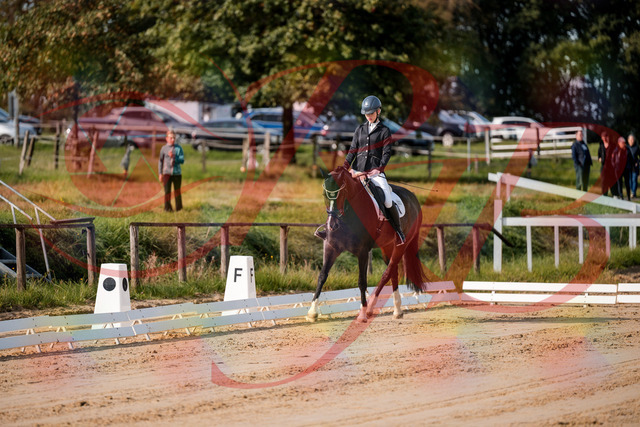 2026_10_03_Siefer-Hof_113247_Z63_19144170 | Professionelle Reitsport-, Turnier- und Eventfotografie von Robert Broda. Galerien mit ausgewählten und bearbeiteten Bildern direkt online ansehen und bestellen.