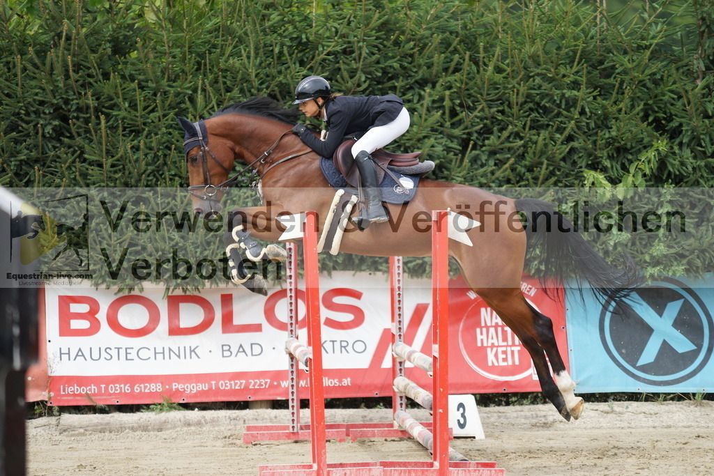DSC03358 | equestrian-live-com