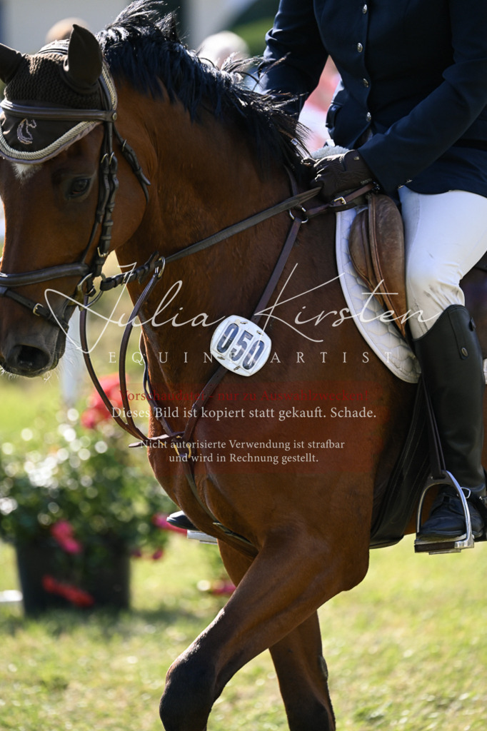 DSC_1236 | Pferde- und Turnierfotografie in Westsachsen. Pferdeportraits, Auftragszeichnungen und intuitive Kunst.