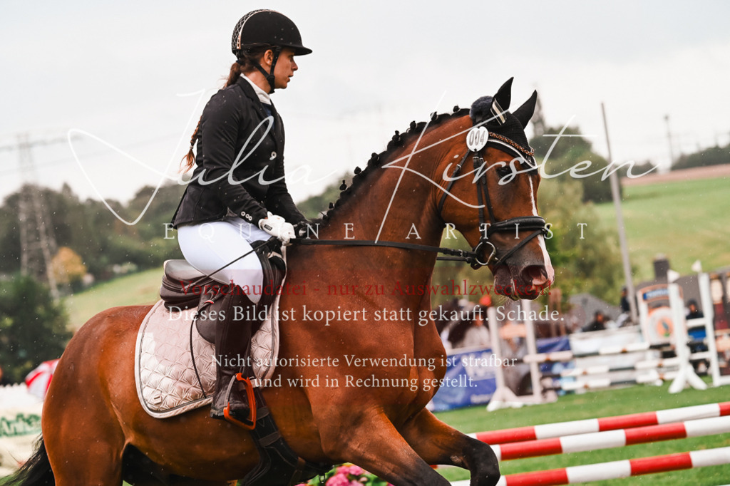DSC_6606 | Pferde- und Turnierfotografie in Westsachsen. Pferdeportraits, Auftragszeichnungen und intuitive Kunst.