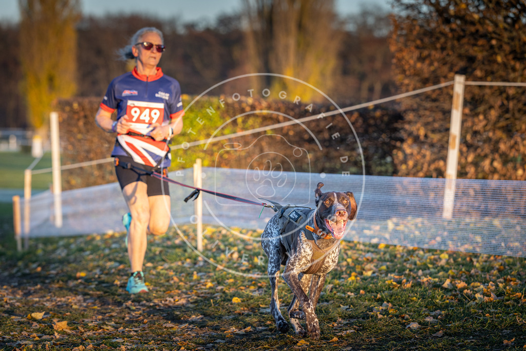 CaniXpix_DV3A5576 | Hundefotografie, Tierfotograf, Pfotenfotografie, Fotoshooting Hund, Hunde Portrait, Hundesport, Hundeportraits, Heideshooting, Hunde, Sportfotograf, Hundefotograf, Turnierhundsport, THS,  - Realisiert mit Pictrs.com