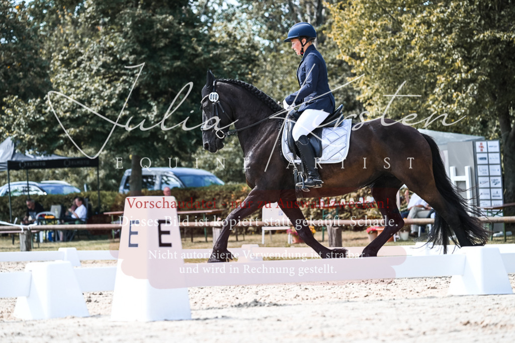 DSC_5401 | Pferde- und Turnierfotografie in Westsachsen. Pferdeportraits, Auftragszeichnungen und intuitive Kunst.