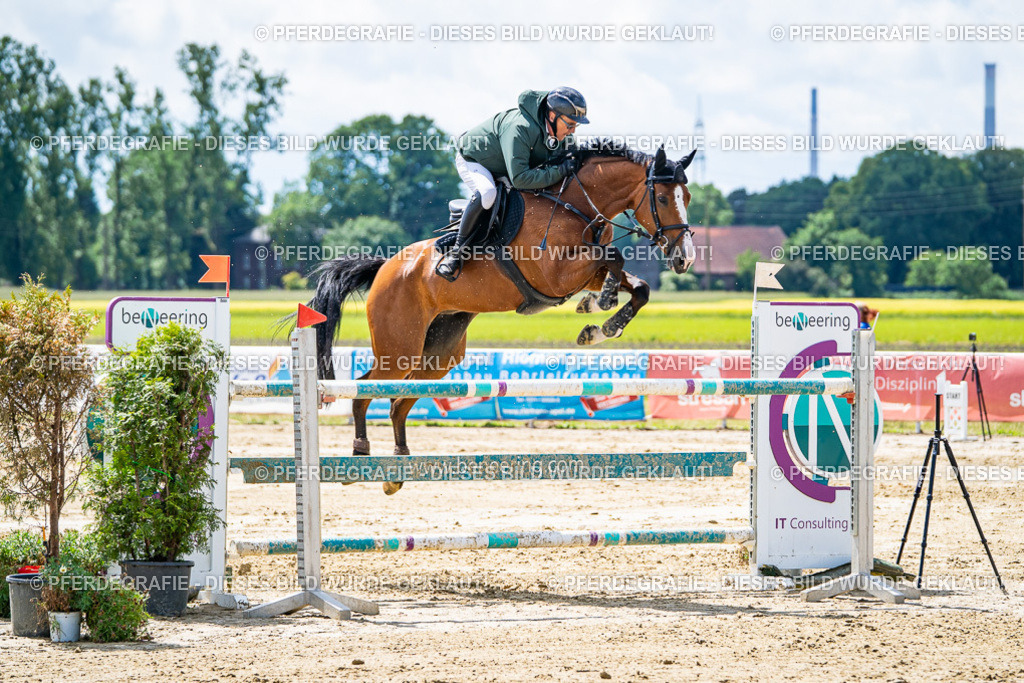 DSC04986 | Pferdegrafie