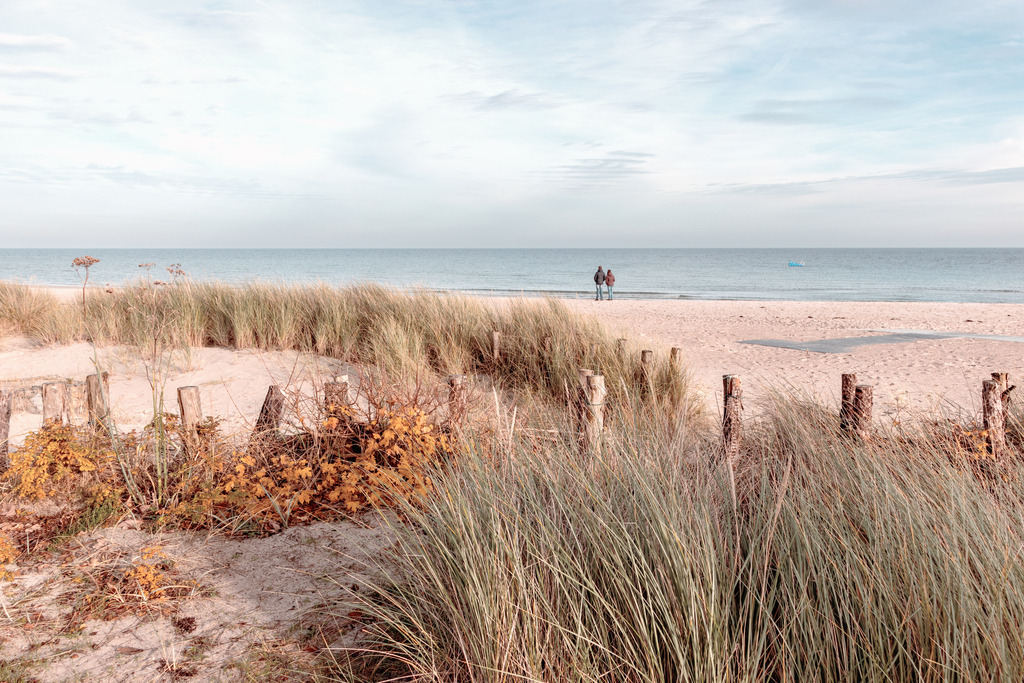 Wandbild: Sandstrand, Strandhafer und Blick aufs Meer | Dieses Wandbild im Querformat zeigt einen Sandfang bewachsen mit Strandhafer und Heckenrosen in dezenten Farben. In der Ferne direkt am Meer stehen zwei Spaziergänger. Der Himmel ist blau mit leichter weißer Bewölkung. Schaffen Sie sich ein maritimes Ambiente in Ihrem Wohnzimmer und kaufen Sie sich dieses stilvolle Wandbild. Es ist auf Leinwand, Aluminium-Platte, Acrylglas oder als Holzdruck erhältlich. Die Wandbilder werden individuell für Sie in vielen Abmessungen produziert. Daher passen die Ostseekult Wandbilder immer perfekt an Ihre Wände. - Realisiert mit Pictrs.com