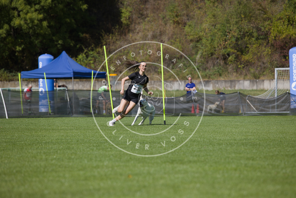 0L8A6072 | Hundefotografie, Tierfotograf, Pfotenfotografie, Fotoshooting Hund, Hunde Portrait, Hundesport, Hundeportraits, Heideshooting, Hunde, Sportfotograf, Hundefotograf, Turnierhundsport, THS,  - Realisiert mit Pictrs.com