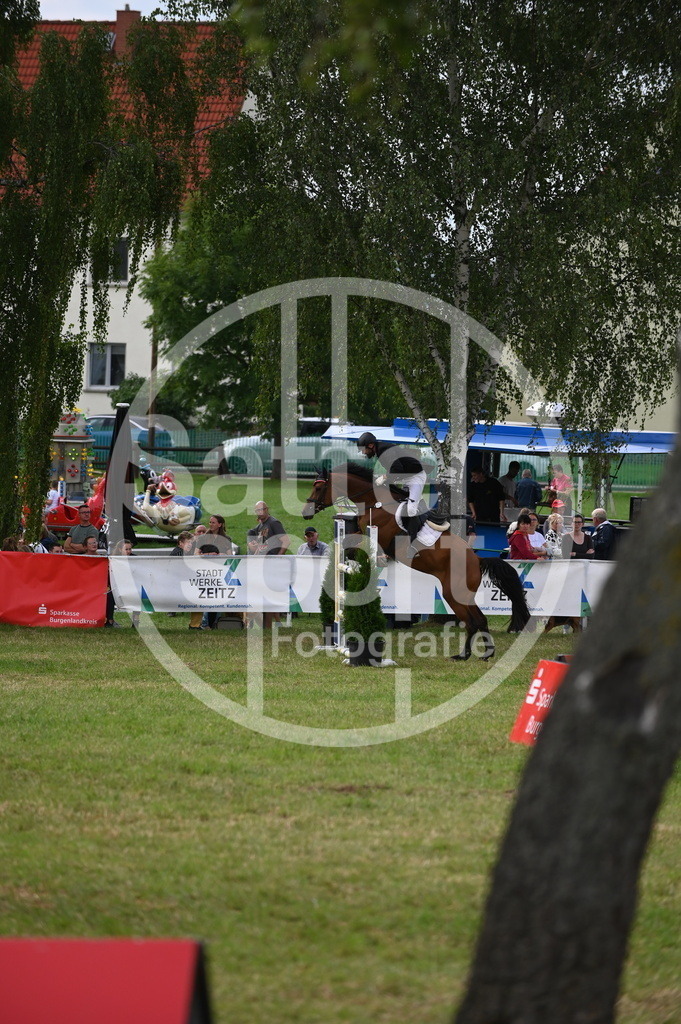 DSC_3279 | sattelsport - Realisiert mit Pictrs.com