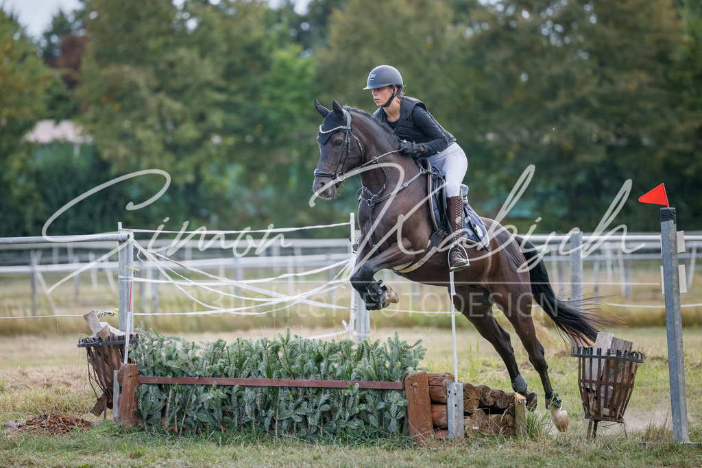 20250905-_3LI1641 | Tierfotografie Pferde, Hunde, Katzen, Haustiere.
Turnierfotografie Reitturniere, Reiten, Springreiten, Dressur in Hanau, dem Main-Kinzig-Kreis und dem Rhein-Main- Gebiet um Frankfurt