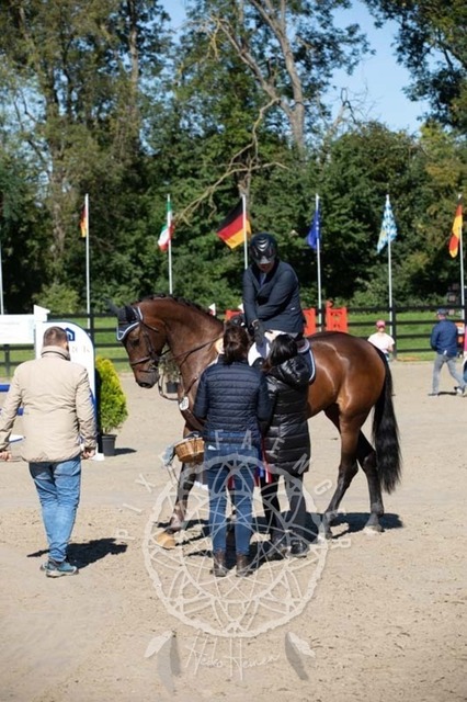 2B4A0350 | pixelfaenger - Realisiert mit Pictrs.com