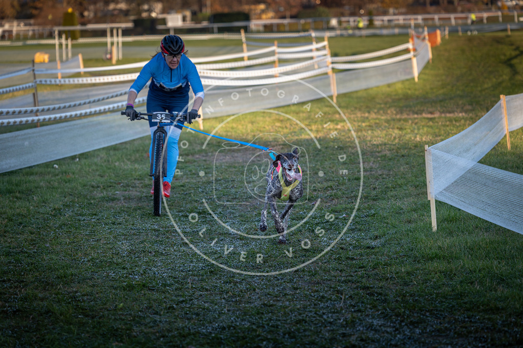 CaniXpix_0L8A2252 | Hundefotografie, Tierfotograf, Pfotenfotografie, Fotoshooting Hund, Hunde Portrait, Hundesport, Hundeportraits, Heideshooting, Hunde, Sportfotograf, Hundefotograf, Turnierhundsport, THS,  - Realisiert mit Pictrs.com
