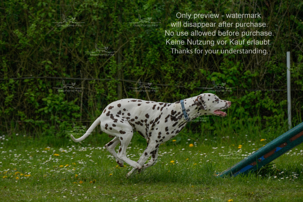 Sa_Laeufe_VK1und2_06-29 | stephaniefillaphotographie - Realisiert mit Pictrs.com