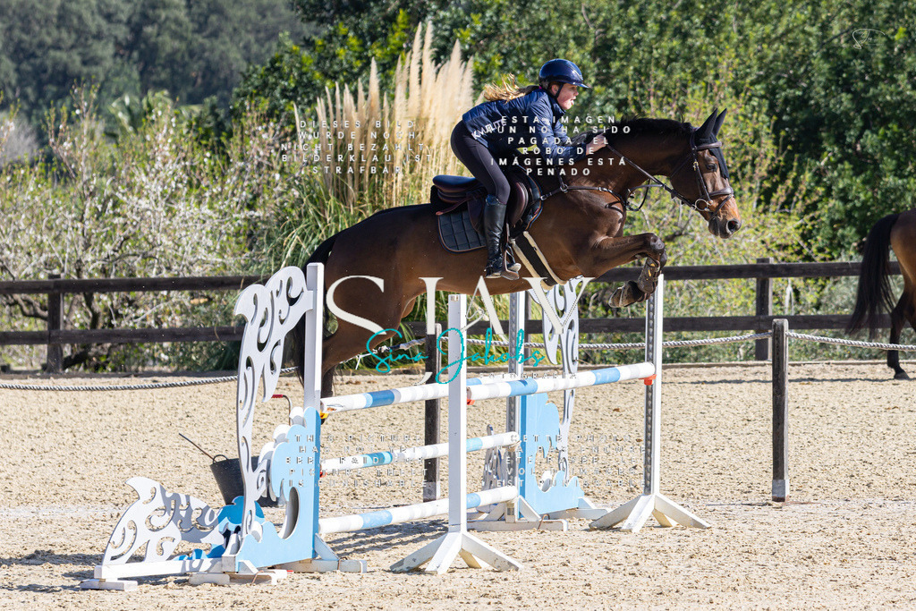 IMG_5348 | s-jay-photography - Realisiert mit Pictrs.com