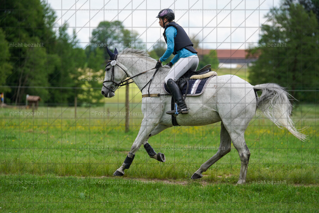 20240518-FAH03741 | Turnierbilder von Niederseon, Turnierfotografen Bayern, Fotoagentur Herrmann, Geländebilder, Reitsportfotografie