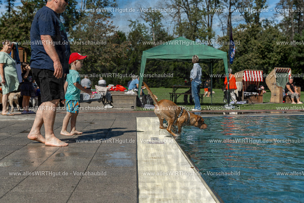 Hundeschwimmen_Volksbad_2026-allesWIRTHgut_Tierfotografie-2609061254-120455-7R500293 | Professionelle Tierfotografie in Mönchengladbach von Daniel Wirth (allesWIRTHgut). Liebevolle & natürliche Bilder von Hunden & Katzen für unvergessliche Erinnerungen.
