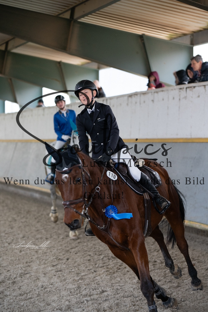 A7V01191 | Pferdefotograf