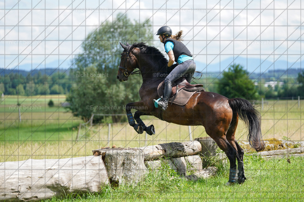 20240622-FAH07724 | Turnierfotografen Bayern, Reitsportbilder aus dem Geländekurs mit Felix Etzel auf dem Gut Waitzacker 2024