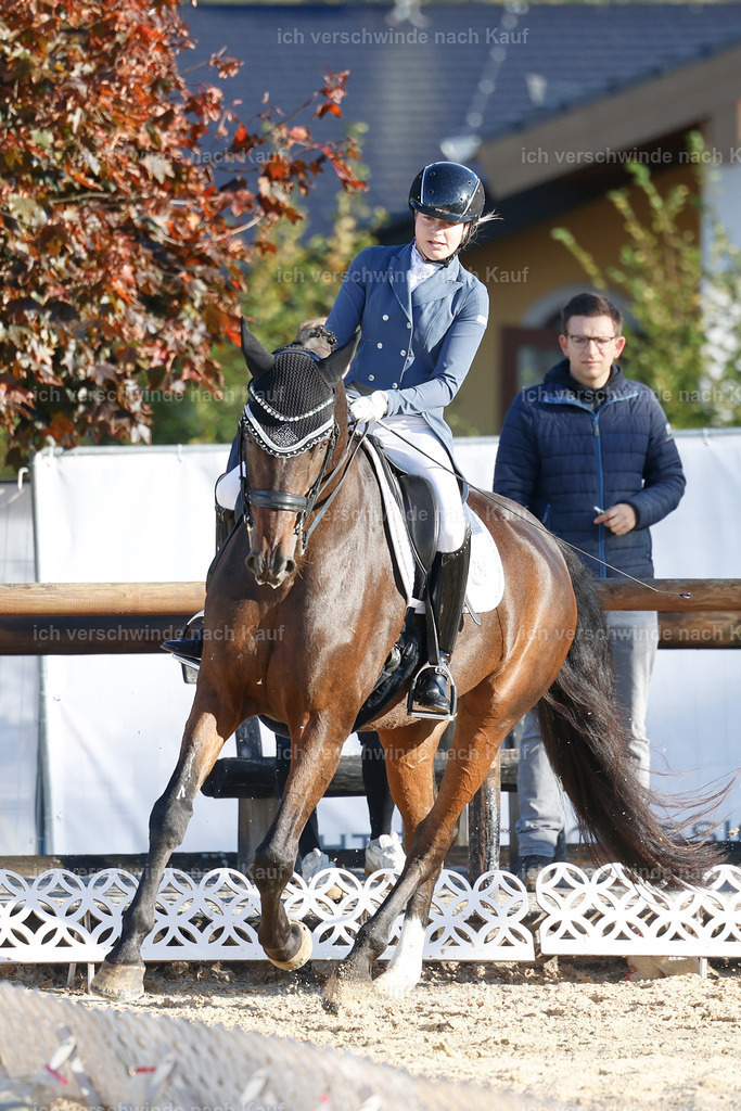 09_1-200-DRESSUR  S_  -StoibPH-5526 | working equitationturnier fotograf videograf stoibphotography marixx film working equitation deutschland reitsport turnierfotografie eventfotografie equestrian events