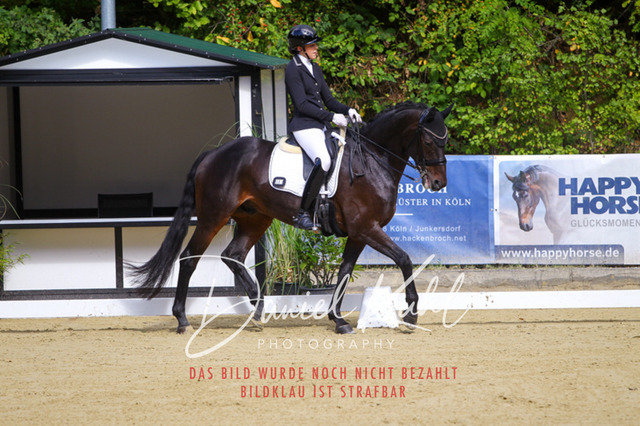 DKP40765 | Turniersportfotografie; Pferdefotografie; Dressurfotografie