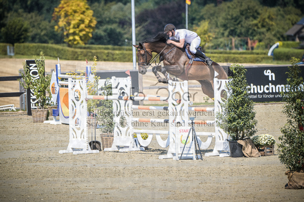 DOS_1775 | Entdecke hochwertige Reitturnierfotos von Foto Oger. Professionell, emotional und authentisch – jetzt Lieblingsmomente im Shop bestellen.Deutschlandweite Turnierfotografie. - Realisiert mit Pictrs.com