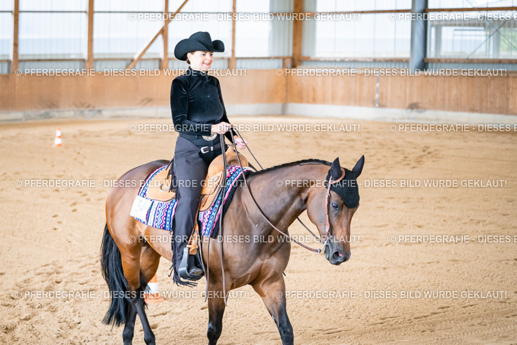 DSC01728 | Pferdegrafie