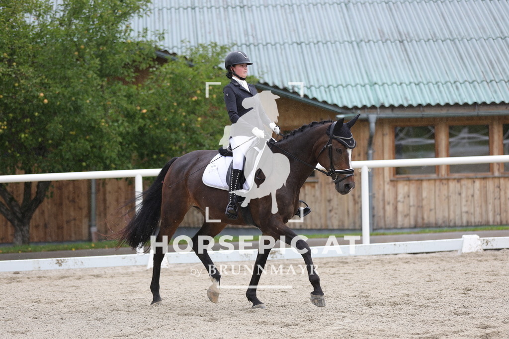 0P6A0076 | Willkommen bei Brunnmayr - Design & Fotografie – Ihrem Spezialisten für Reitturniere und Pferdeveranstaltungen in Oberösterreich, Salzburg und Bayern! Seit über 17 Jahren sind wir leidenschaftlich dabei.