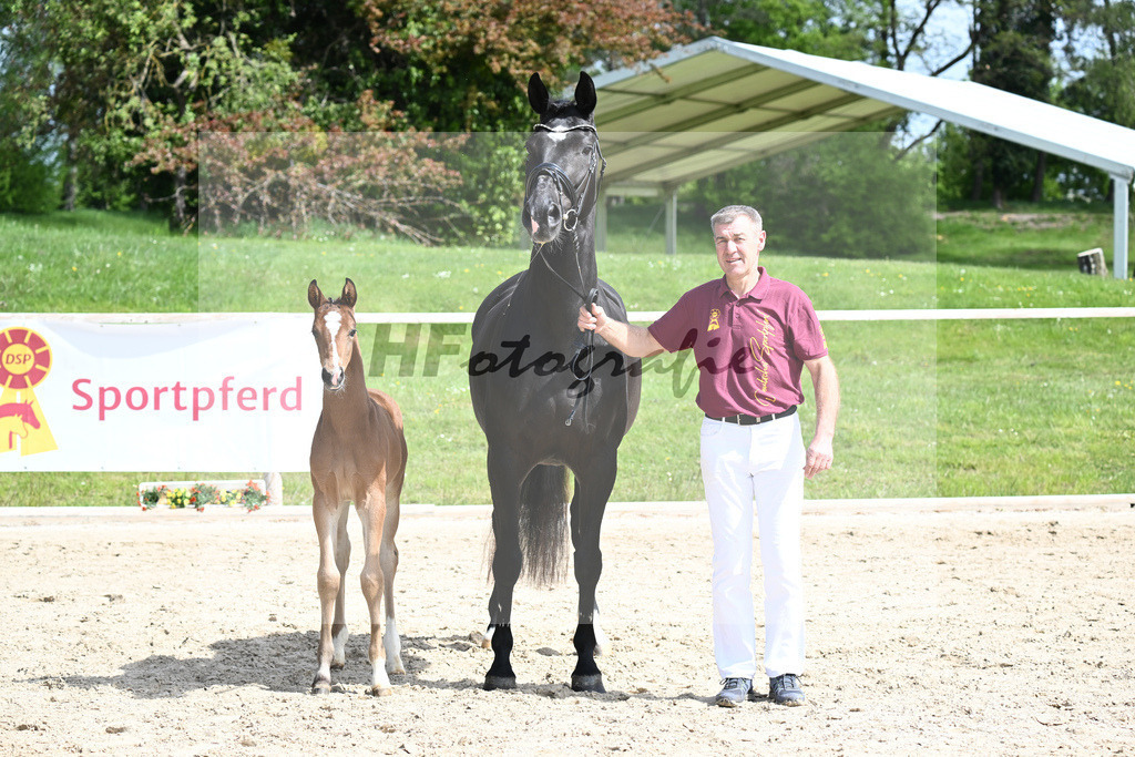 Benicio x De Niro_HF_Eder_11240221 | hf-fotografie - Realisiert mit Pictrs.com
